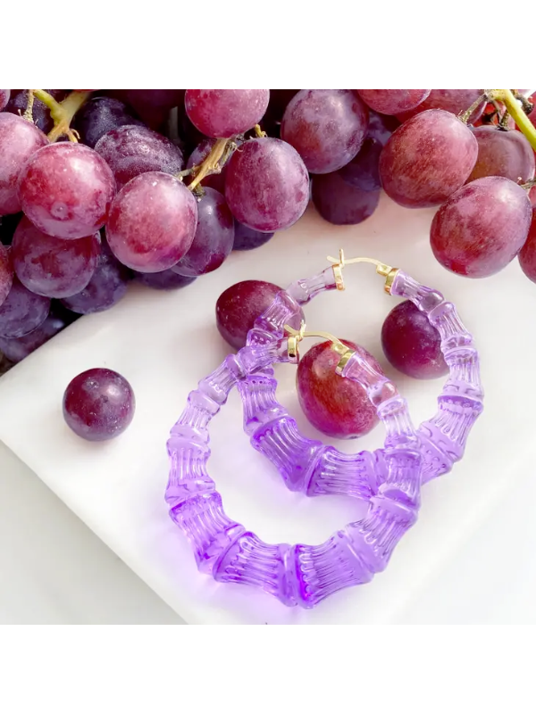 Lucite Bamboo Hoop Earrings